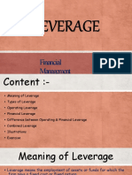 Leverage Analysis (Autosaved)