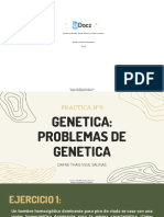 Genetica Problemas de Genetica 213266 Downloable 1450634
