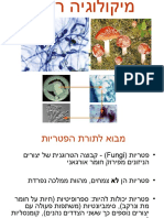 מע-מחלות הנגרמות על ידי פטריות