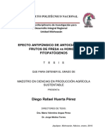 Huerta Perez Diego Rafael - B131033