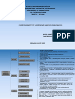 Cuadro Esquemático de Los Problemas Ambientales de Vuenezuela