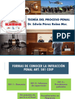 Teoría Del Proceso Penal 1