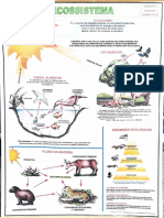 Ecologia - Ecossistema