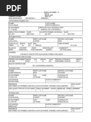 Translation of a Birth Certificate - Img 11