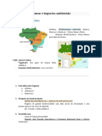 Biomas brasileiros e impactos ambientais