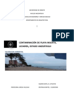 Contaminacion de Playa Muerta