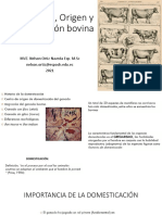 Material primer parcial bovinos carne. ESPOCH