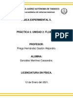 Practica 5. Fluidos