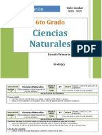 Plan 6to Grado Ciencias Naturales LISTO