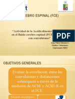 Fluido Cerebro Espinal (CSF)