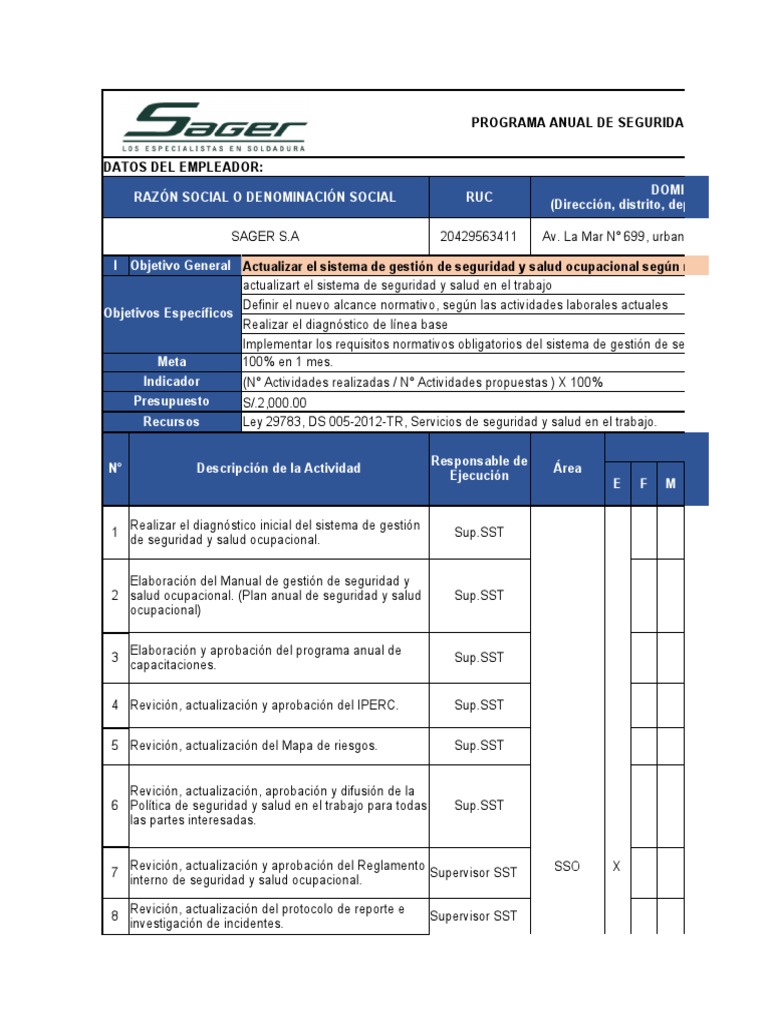 Programa Anual de Seguridad y Salud en El Trabajo - 2019 | PDF ...
