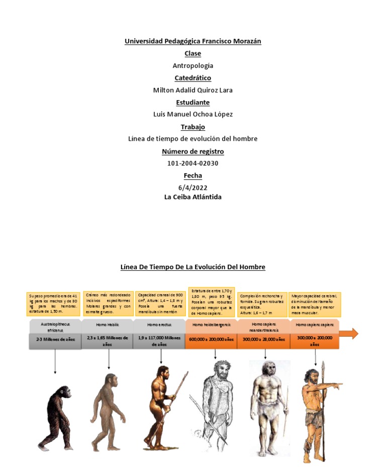 Lnea Del Tiempo De La Evolucin Humana Linea Del Tiempo 1
