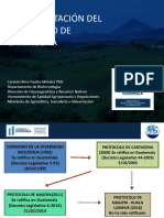 Implementación del Protocolo de Cartagena en Guatemala