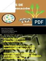 Biorremediación