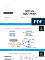 Sistema Endocrino Copiar