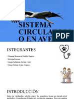 Sistema Circulatorio en Aves