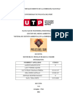 TRABAJO SISTEMA DE GESTION AMBIENTAL Revision 01