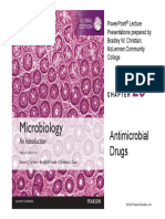 Microbiology An Introduction