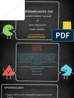 Enfermedades cerebrales: ACV, crisis convulsivas y tumores cerebrales