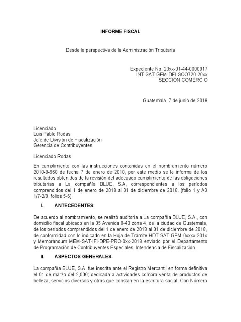 Informe Fiscal Pdf Auditoría Impuestos