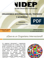Organismos Internacionales, Tratados y Acuerdos