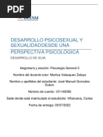 Glosario Sobre Los Aspectos Más Importantes de La Teoría de Erik ...