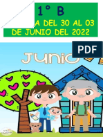 Semana Del 30 A 03 de Junio