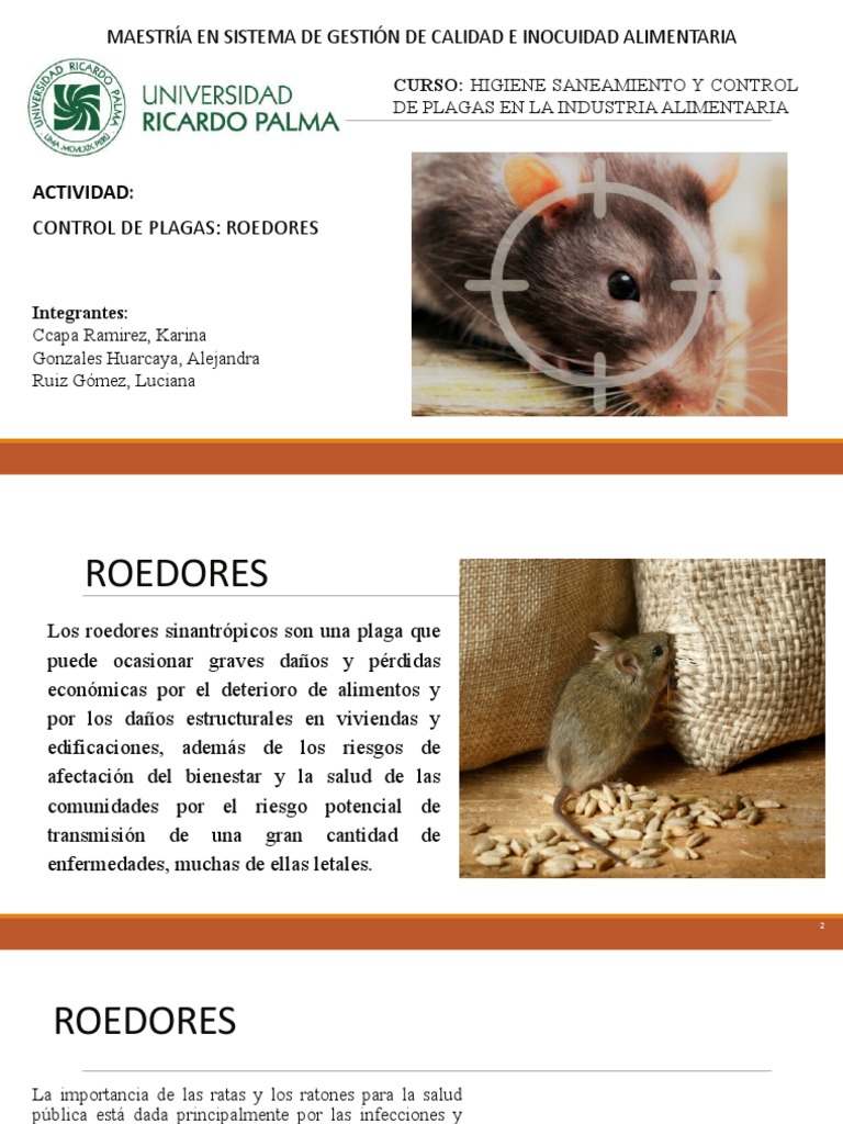 Control de Roedores en la Industria Alimentaria | PDF | Roedor | Residuos