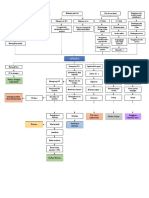 Anemia Pathway - Maternitas