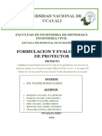 Formulacion - Universidad Nacional de Ucayali