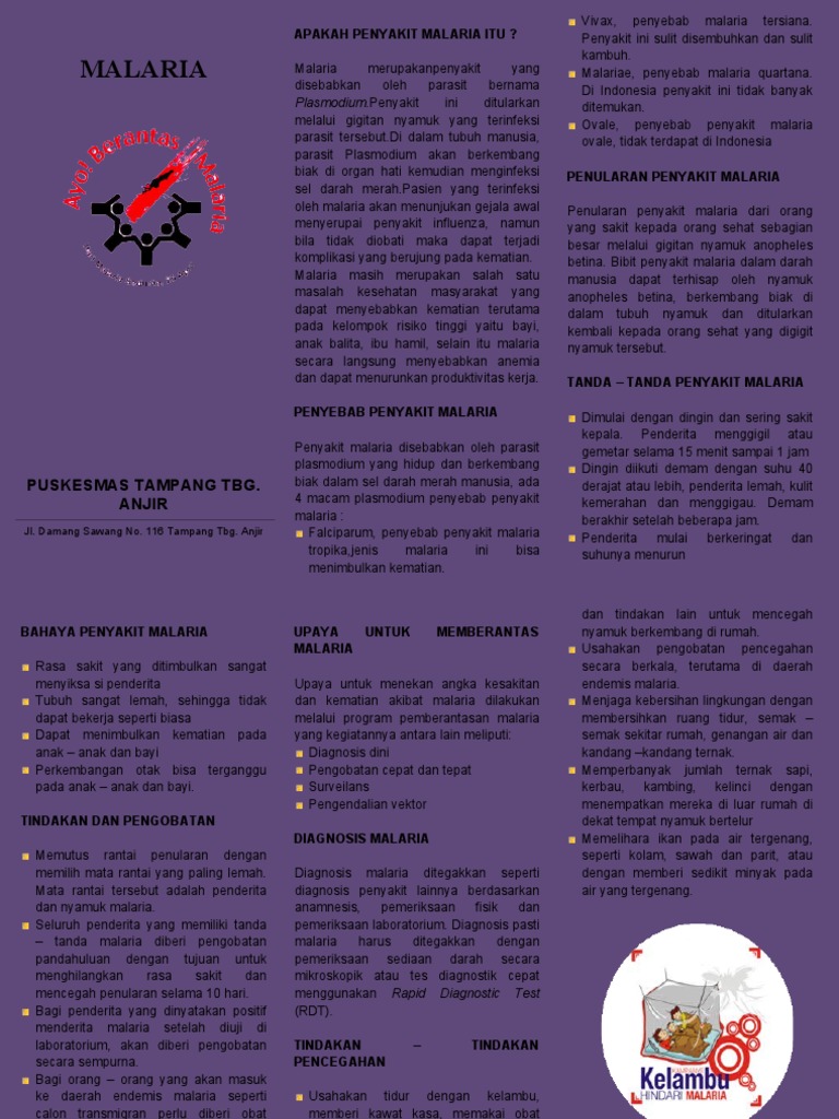 PENYEBAB DAN PENCEGAHAN MALARIA | PDF