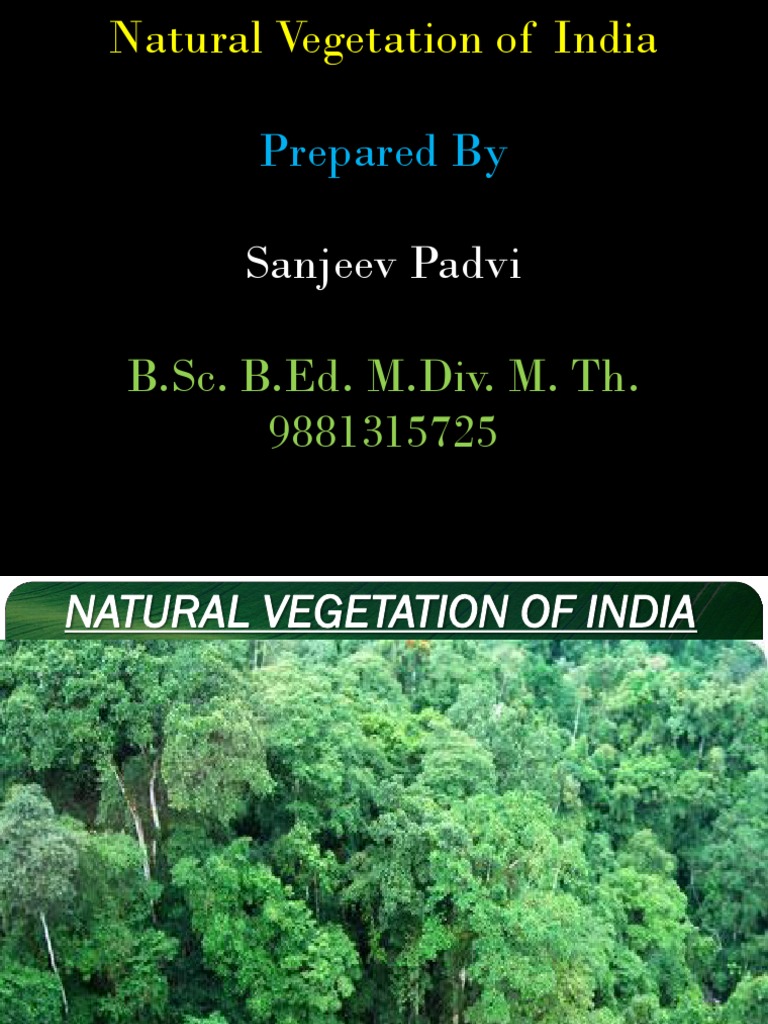 Natural Vegetation of India Explained | PDF | Forests | Trees