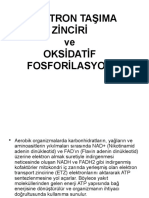 Elektron Taşima Zinciri Ve Oksidatif Fosforilasyon