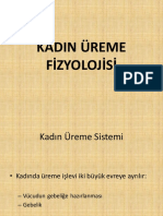 Kadın Üreme Fizyolojisi