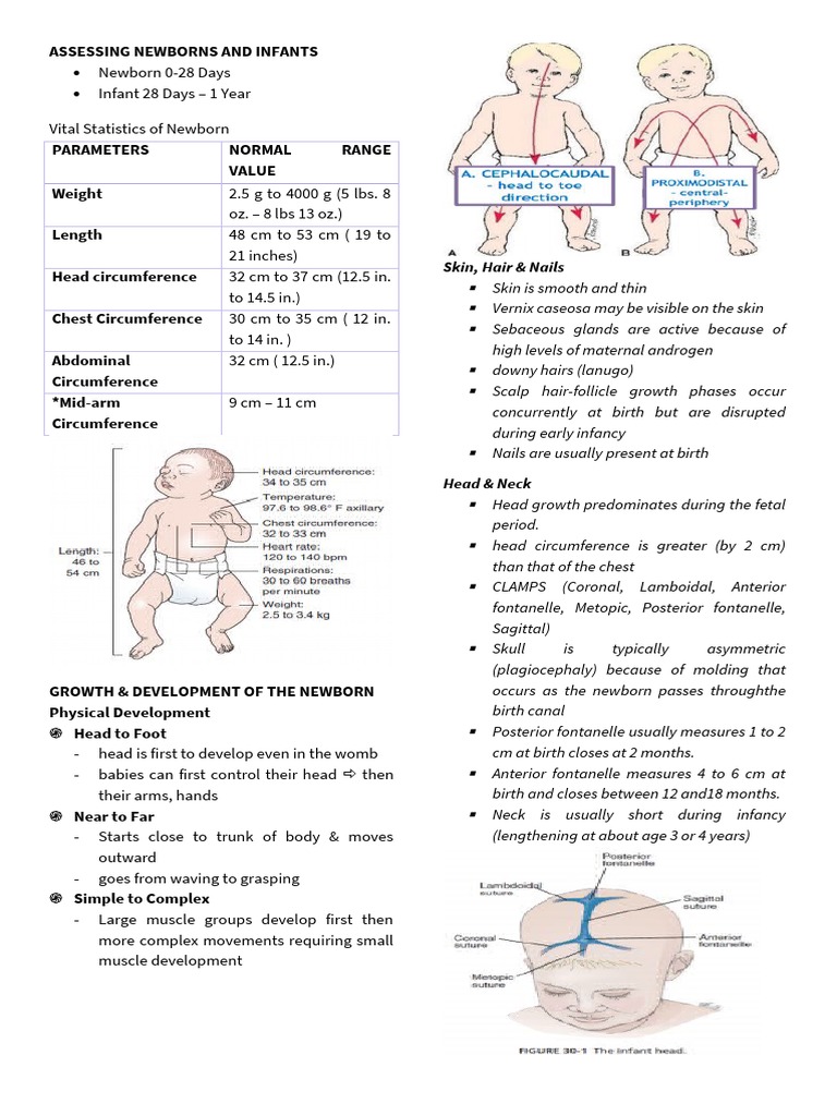 Newborn and Infant Assessment Guide | PDF | Infants | Childbirth