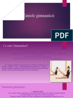 Documentar Gimnastica