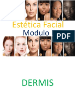 Clase I - Estetica Facial