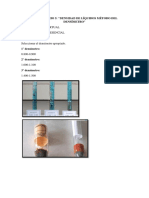 Práctica 5 - Densidad de Líquidos Método Del Densímetro