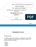 Regimenes de Flujo DBL