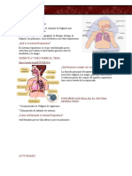 Portafolio 