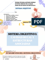 Sistema Digestivo I, Ii y Iii Grupo 05 Semana 12