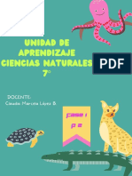 Uda Naturales Fase 1 p2