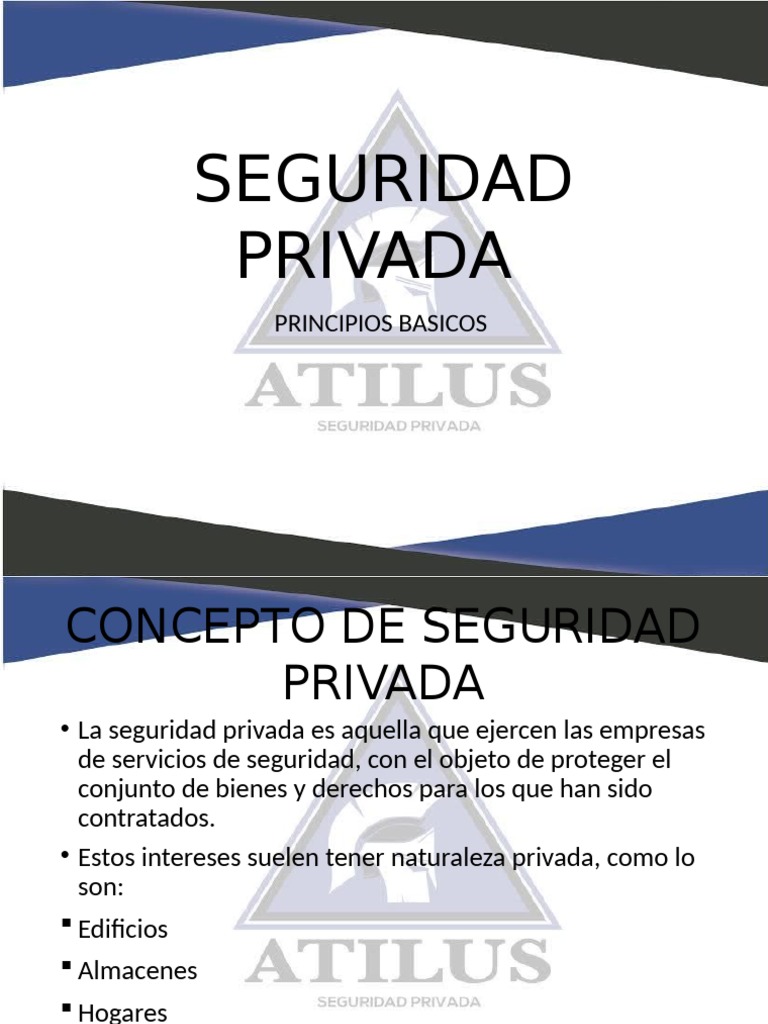 Principios de Seguridad Privada | PDF | Valores | La seguridad informática