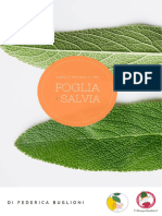 Foglia Di Salvia