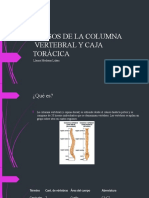 Huesos de La Columna Vertebral y Caja Toràcica