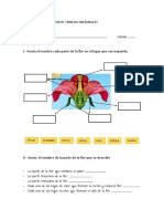 EVALUACION DE CIENCIAS NATURALES 3y4