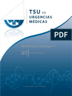 PDF Sistema Endocrino 27