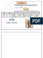 Mapa Conceptual