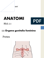 (02-1) Anatomi - Organa Genitalia Femina Edited
