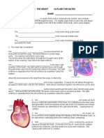 Anatomy & Physiology: The Heart Outline For Notes Health Care Careers NAME